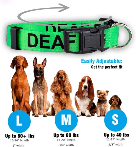 Miniatura 3 de Native Pup Collar para perro sordo Advertencia de dificultad auditiva (grande)