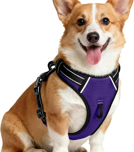 Miniatura 97 de Arnés para perro sin tirones, chaleco reflectante ajustable y acolchado para mascotas con asa de fácil control, fácil de llevar con nudo elegante