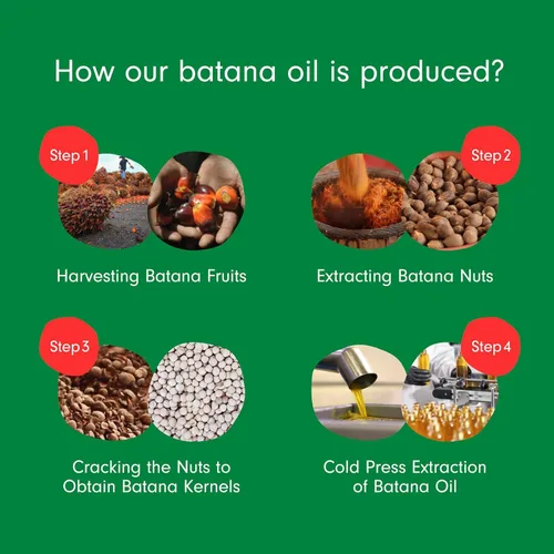 Miniatura 4 de Dersie Paquete de 2 Aceite de Batana: Aceite de Batana Orgánico de Honduras - 100% puro y natural - 4 fl oz por botella