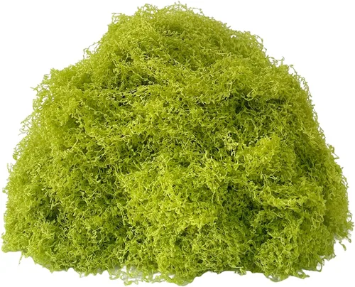Miniatura 11 de KEYUSHOP Musgo verde falso para plantas en maceta, 5.3 onzas, musgo de reno preservado, musgo artificial decorativo para bricolaje, centros de mesa