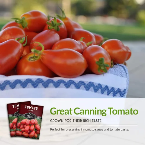 Miniatura 4 de Semillas de tomate Roma para plantar, variedad de pasta de reliquia determinada para salsa y enlatado, tomates italianos productivos, polinizados