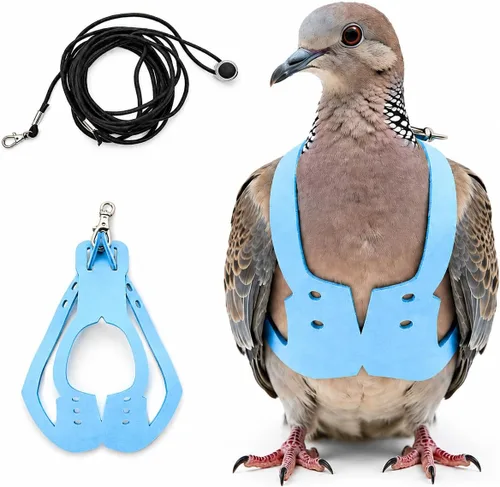 Miniatura 10 de Juego de arnés ajustable y correa para pájaros pequeños, apto para periquitos, conures, cacatúas, mejillas verdes, loros cuáqueros (verde, XS) 6350-6