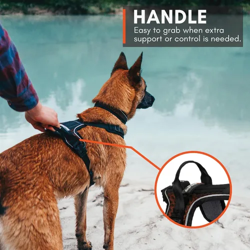 Miniatura 10 de Non-stop dogwear Rock Arnés ajustable para perros pequeños con 3 clips para correa, asa y reflectante, negro/naranja, talla XS