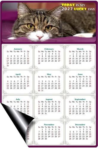 Miniatura 2 de Calendario magnético 2025 – Imanes del calendario – Today is my Lucky Day – Resistente a la decoloración, desgarros y agua – Temática de gato 022