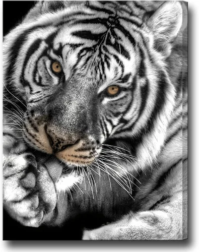 Biuteawal Arte de pared de tigre blanco y negro para sala de estar, impresión de pintura de tigre de ojos marrones sobre lienzo, imagen de animales
