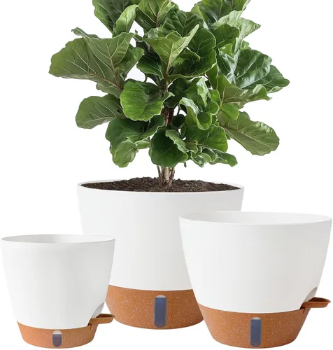 Miniatura 11 de Paquete de 2 macetas de 8 pulgadas para plantas de interior, macetas de plástico con orificios de drenaje, indicador de nivel de agua y depósito