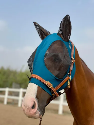 Miniatura 12 de Máscara para caballo Tgw Riding, con orejas, con agarre extracómodo, de malla suave, Azul, M Pacific Blue