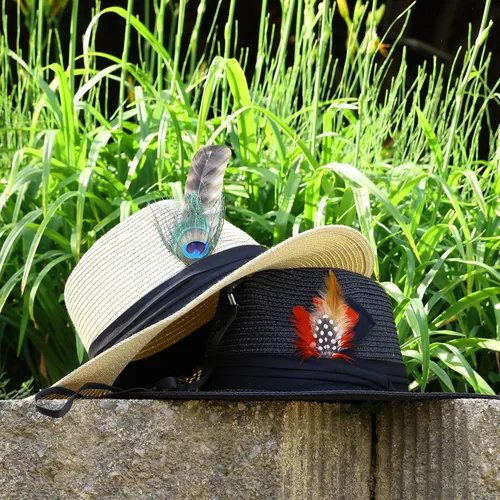 Miniatura 7 de Plumas de sombrero 10 estilos naturales surtidos de plumas para sombreros Fedora, accesorios para manualidades, sombreros de vaquero occidental