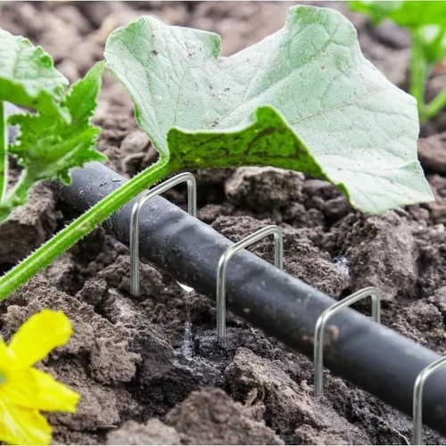 Miniatura 3 de Estacas de jardín - 8 pulgadas en forma de U, paquete de 50 Galvanizado y resistente al óxido para un uso duradero en exteriores. Perfecto