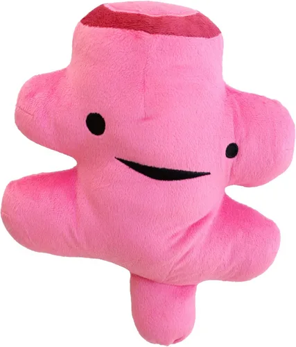 I Heart Guts Rectum Plush – Lindo juguete educativo de órgano para hemorroides y cirugía colorrectal – Divertido regalo de recuperación para