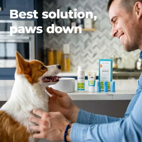 Miniatura 5 de Oxyfresh Kit dental prémium para mascotas para perros y gatos – Ambientador de aliento y solución de limpieza dental más fácil para aliento fresco