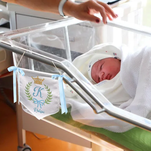 Miniatura 6 de Cartel personalizado de bienvenida para bebé con lazo con nombre personalizado, letrero de puerta de hospital, decoración de entrada, cartel
