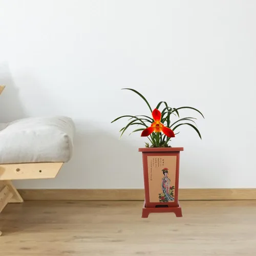 Miniatura 7 de Happyyami 4 juegos de macetas de orquídeas grandes macetas de cerámica para cactus maceta decorativa para suculentas, maceta redonda grande
