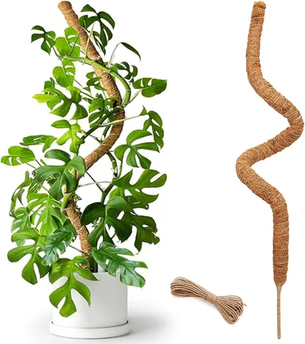 Miniatura 10 de Poste de musgo de 48 pulgadas, poste de musgo flexible para plantas Monstera, postes de musgo altos para plantas trepadoras de interiores, soporte