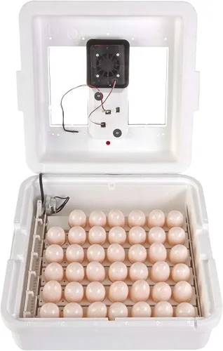 Miniatura 4 de Little Giant® Incubadora digital de aire fijo 41 huevos Incubadora de huevos con control de temperatura y humedad Incubadora de pollos