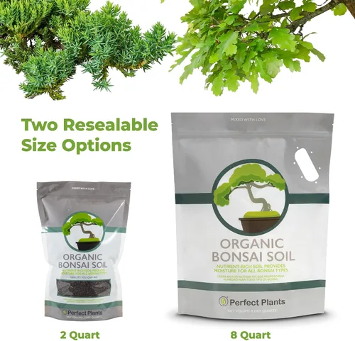 Miniatura 4 de Tierra para bonsái de Perfect Plants - 2qts. Mezcla premium multiusos para variedades de árboles bonsái