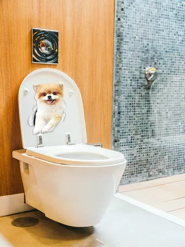 Miniatura 4 de Winston & Bear Calcomanías divertidas de pared de perro de Pomerania, paquete de 2, calcomanías 3D de Pomerania para paredes, automóviles, inodoro
