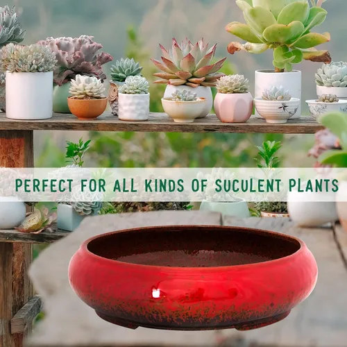 Miniatura 7 de ARTKETTY Macetas de bonsái de cerámica para suculentas de 11.5 pulgadas con drenaje, macetas suculentas grandes y poco profundas para plantas de Rojo