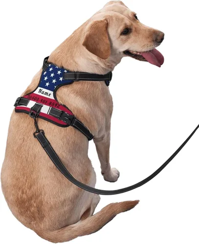 Miniatura 2 de Arnés personalizado sin tirones para perro, arnés de chaleco ajustable para mascotas, personalizado con nombre, número de teléfono para perros