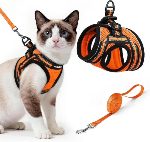rabbitgoo Juego de arnés y correa para gatos para caminar a prueba de escape, chaleco suave ajustable para gatitos con tira reflectante para gatos,