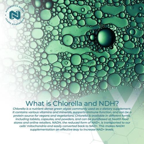 Miniatura 4 de Nootropics Depot NADH + Chlorella vulgaris (células rotas) cápsulas de 400 mg Dinucleótido de adenina de nicotinamida de 20 mg Clorofila 10 mg