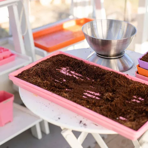 Miniatura 2 de Bootstrap Farmer Microgreen 1020 - Bandejas rosadas, paquete de 10 unidades, extra fuerte con agujeros, bandeja de semillas poco profundas