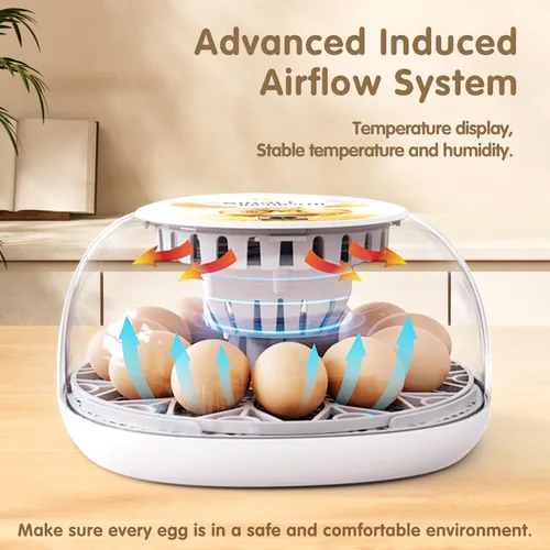 Miniatura 2 de Incubadoras para incubar huevos de codorniz, 12 huevos con giro automático de huevos y control de humedad, visualización de 360° para pollo, patos