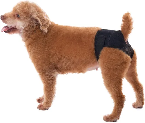 Miniatura 2 de Bragas para perros en celo, pantalones reutilizables para evitar que se cruzen. Ropa interior lavable para proteger a las perras de perros machos