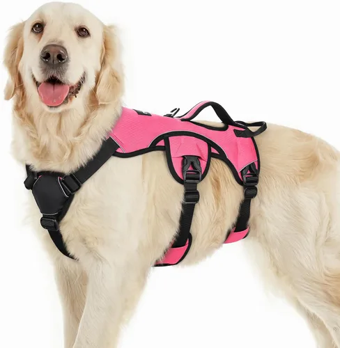 Miniatura 57 de rabbitgoo - Arnés para perro a prueba de fugas, arnés para mascotas acolchado suave de cuerpo completo, chaleco reflectante ajustable sin tirones