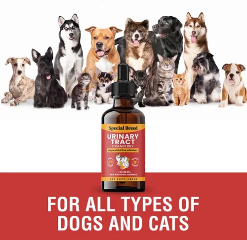 Miniatura 8 de Tratamiento de infección del tracto urinario para gatos y perros - Alivio natural de la infección urinaria con gotas de arándano - Soporte