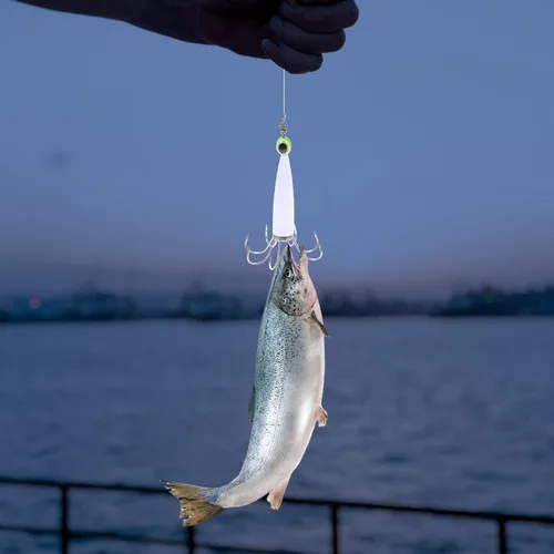 Miniatura 8 de BESPORTBLE Fuerte fuerza de tracción gancho de calamar duradero y para la pesca del pulpo del calamar Color aleatorio