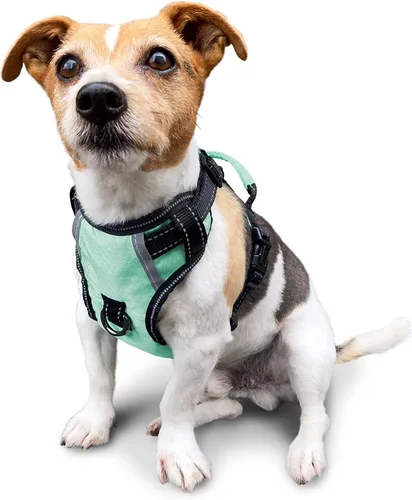 Miniatura 32 de Arnés antitirones para perro pequeño con 2 hebillas de liberación rápida y mango de fácil control, chaleco suave reflectante sin estrangulamiento