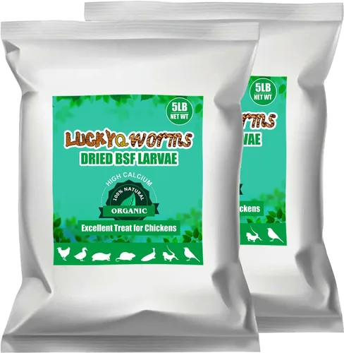 Miniatura 13 de Gusanos de harina secos, gusanos de harina a granel con alto contenido de proteínas 22 libras, golosinas de gusanos de harina 100% sin OMG