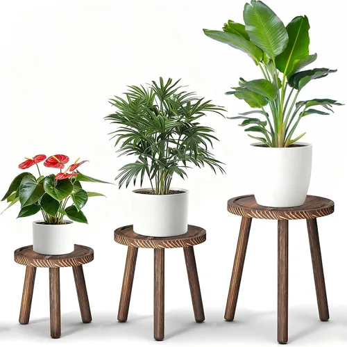 Paquete de 3 soportes para plantas de interior y exterior, estilo moderno de mediados del siglo, taburete para plantas de madera, porta macetas para