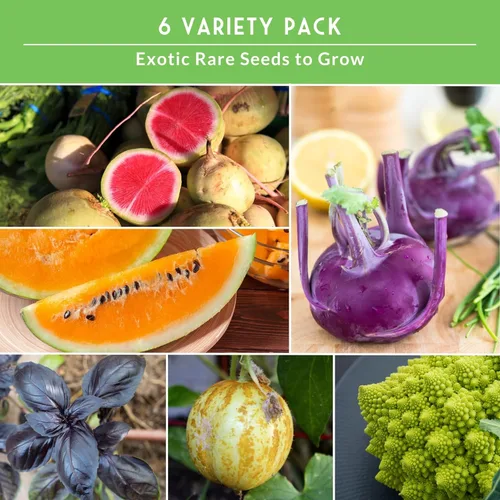 Miniatura 5 de Raras semillas exóticas de vegetales y frutas para plantar – Paquete de 6 variedades autóctonas con Romanesco, pepino limón, rábano sandía y más