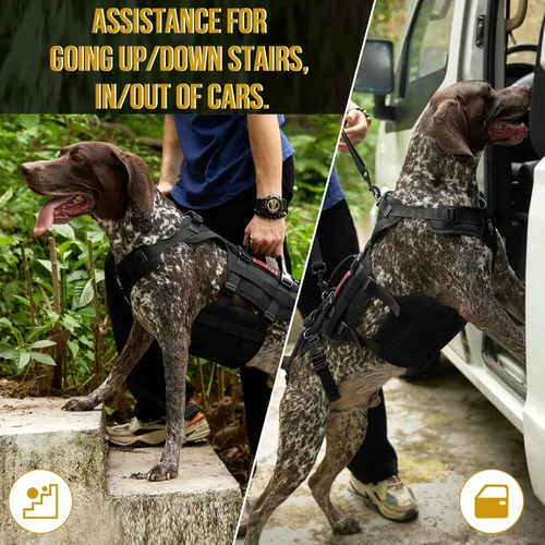 Miniatura 4 de OneTigris Arnés de elevación para perros grandes, soporte de cadera para perros, elevador de cuerpo completo con asas Invictus Chaleco Negro
