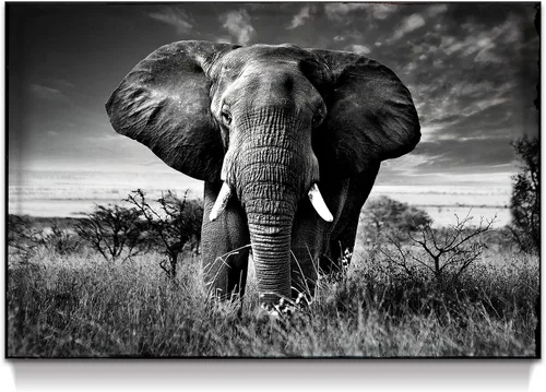 Miniatura 13 de Arte de pared blanco y negro de elefante – Pintura rústica en lienzo – Imagen de animales africanos – Obra de arte natural para decoración de baño