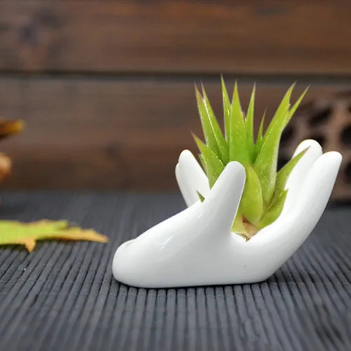 Miniatura 7 de Paquete de 6 soportes de cerámica para plantas de aire, forma de mano, contenedor de plantas de aire Tillandsia, maceta, exhibición de plantas