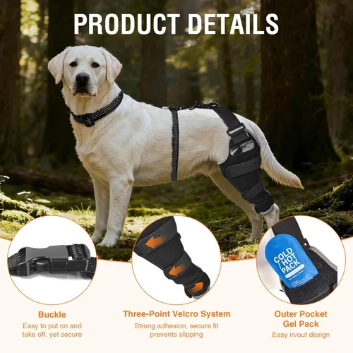 Miniatura 4 de Perro ACL Brace pata trasera – Soporte de pierna trasera ajustable transpirable con gel de compresión caliente/frío para artritis, hinchazón