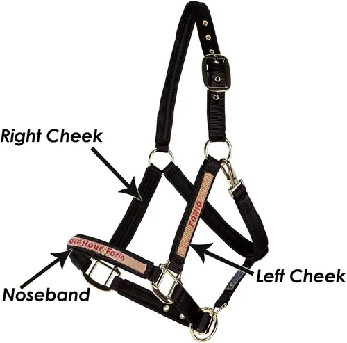 Miniatura 6 de Dura-Tech Cabestro de caballo de nailon totalmente acolchado Cabestro para caballo diseñado para evitar rozaduras Corona y bordillo de caballo