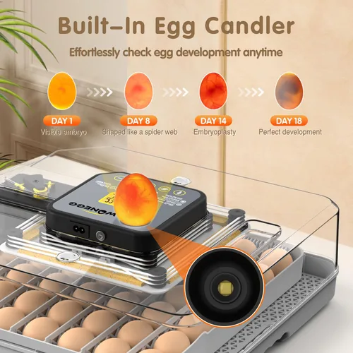 Miniatura 3 de Incubadoras para huevos para incubar huevos para granja de laboratorio con giro automático de huevos para pollo, patos, ganso, codorniz, 48 huevos