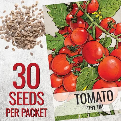 Miniatura 3 de Seed Needs Tiny Tim Semillas de tomate para plantar tomates cherry enanos, semillas de verduras sin OMG y sin tratar para plantar un huerto al aire