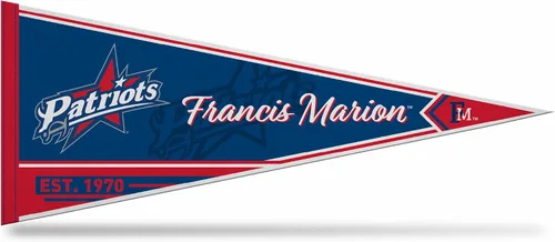 Miniatura 162 de Rico Industries NCAA Banderín Clásico de Fieltro para Decoración de Pared de 12" x 30" - Ideal para Decoración del Hogar/Dormitorio/Cueva de Hombre
