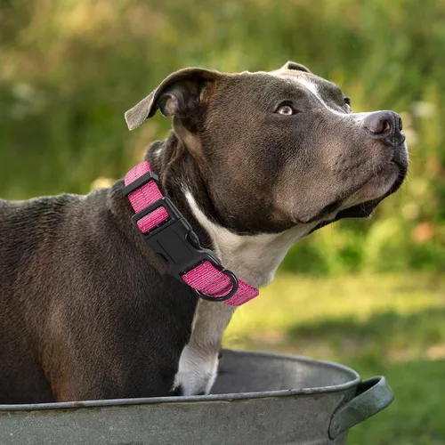 Miniatura 2 de Mile High Life Collar para perro Collares reflectantes de nailon para perros Collares ligeros para cachorros Collares rosados para perros 3
