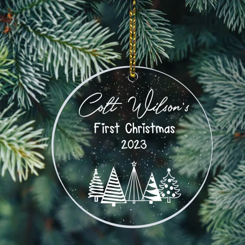 Miniatura 17 de Adornos personalizados de primera Navidad para bebés 2023, adorno del desierto de cactus, adorno de la primera Navidad del bebé, adornos Bebé 16