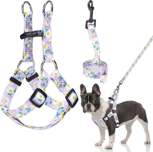 Miniatura 16 de BEAUTYZOO Juego de arnés y correa para perro pequeño sin tirones, arnés de nailon ligero para cuello y pecho ajustable para perros, niñas y niños