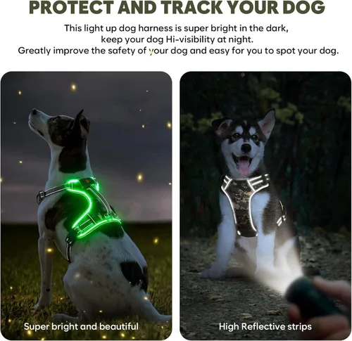 Miniatura 6 de Arnés para perro con luz LED para caminar de forma segura por la noche, chaleco de malla suave que brilla en la oscuridad, chaleco para perros