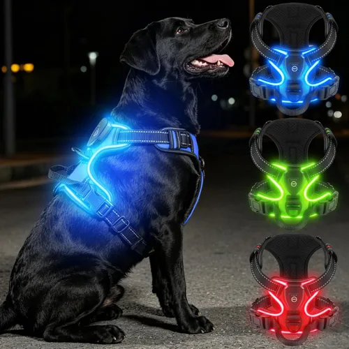 Miniatura 2 de Arnés para Perro Villabliss con Luz LED - Arnés para Perro Recargable para Caminatas Nocturnas, Tres Modos de Iluminación, Intermitente por Más