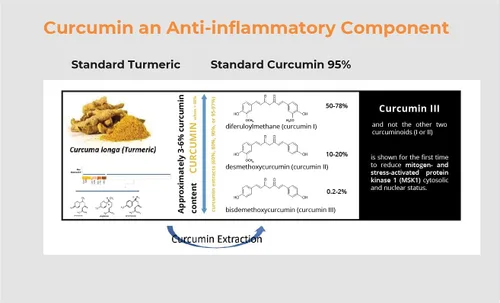Miniatura 4 de Pro NovoCurcumin-BioBDMC50-Next Generation Curcumina altamente mejorada - 240 cápsulas