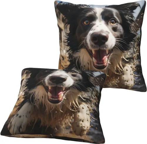 Miniatura 8 de 2 fundas de almohada cuadradas de 16 x 16 pulgadas, fundas de almohada suaves de pastor Border Collie, fundas de almohada modernas para decoración